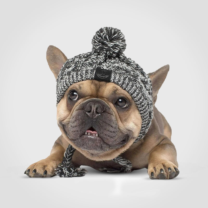 Puppify | Knitted Winter Dog Beanie