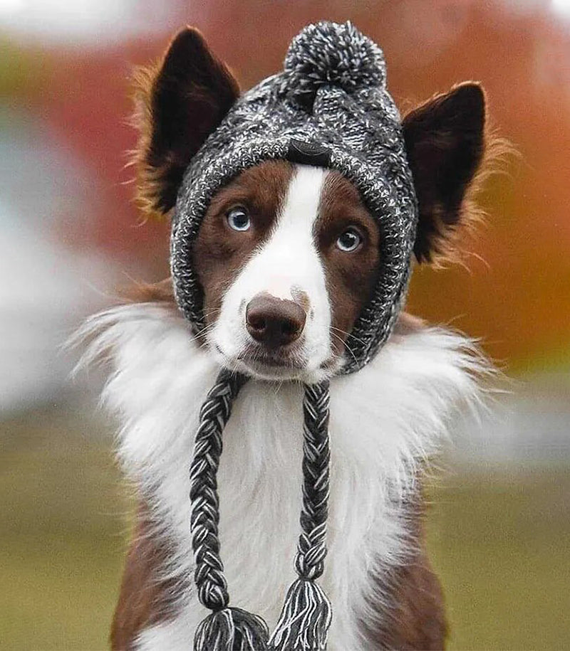 Puppify | Knitted Winter Dog Beanie