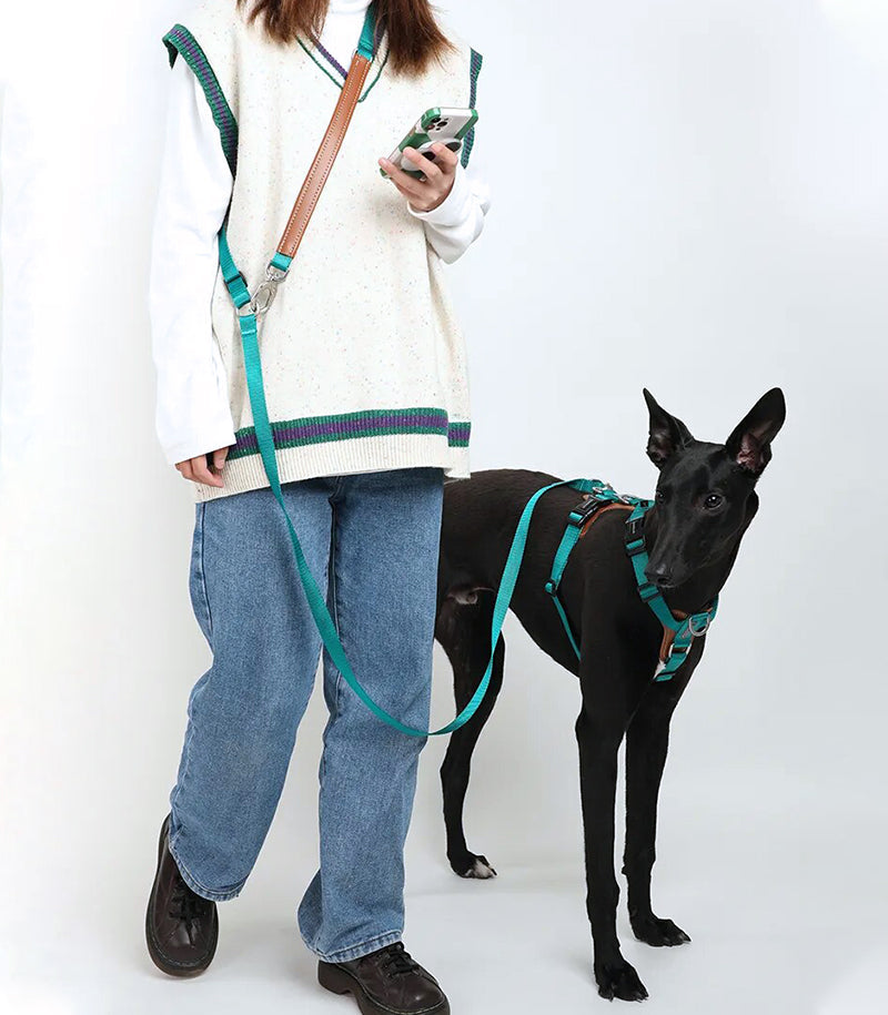 Puppify | HiDream Adjustable Dog Harness + Leash + Carrier Pouch Bundle