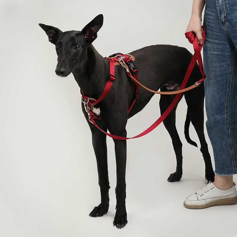 Puppify | HiDream I-Shape Adjustable Dog Harness