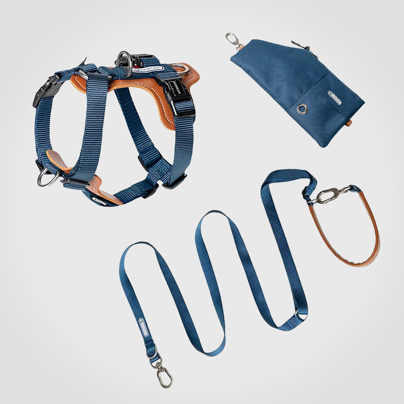 Puppify | HiDream Adjustable Dog Harness + Leash + Carrier Pouch Bundle