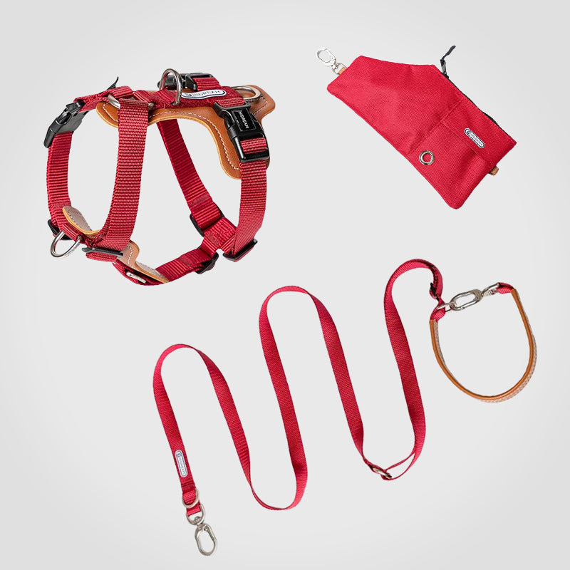 Puppify | HiDream Adjustable Dog Harness + Leash + Carrier Pouch Bundle