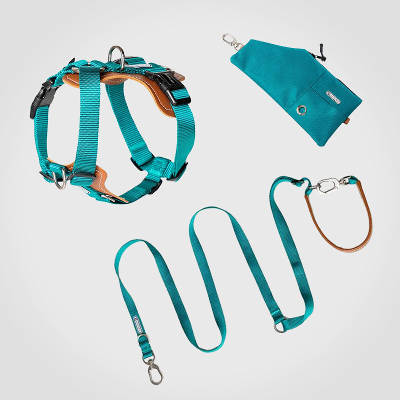 Puppify | HiDream Adjustable Dog Harness + Leash + Carrier Pouch Bundle