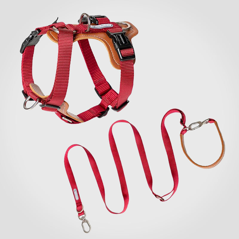 Puppify | HiDream Adjustable Dog Harness + Leash Bundle