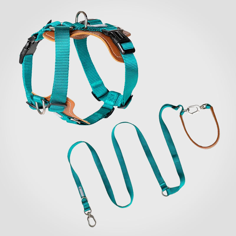 Puppify | HiDream Adjustable Dog Harness + Leash Bundle