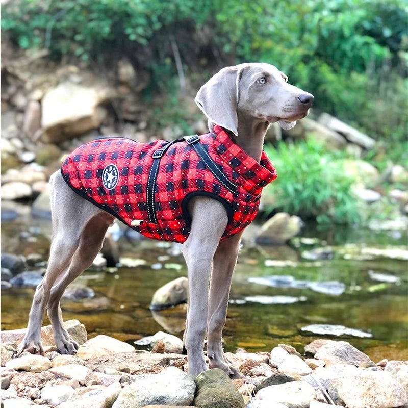 Puppify | Multifunctional Dog Jacket Harness