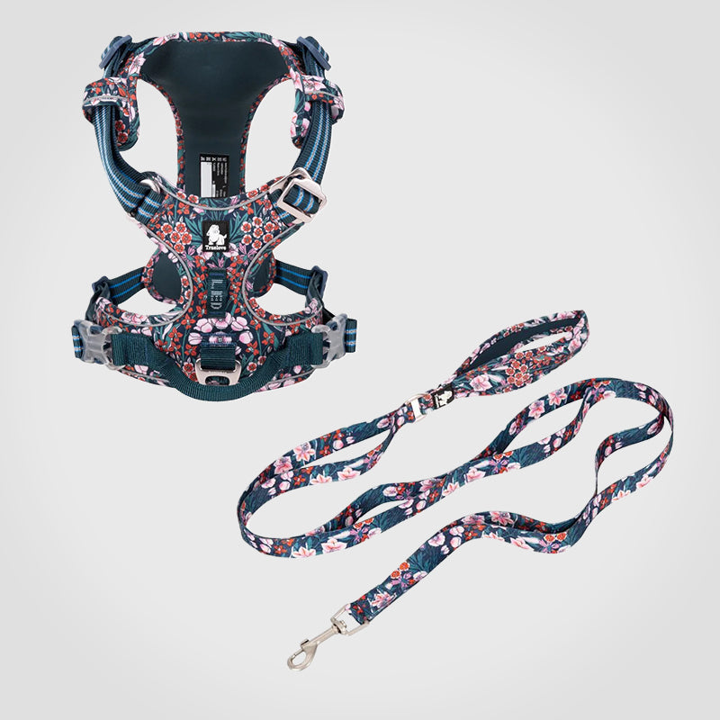 Puppify | Truelove Floral No-Pull Safety Dog Harness + Leash Bundle