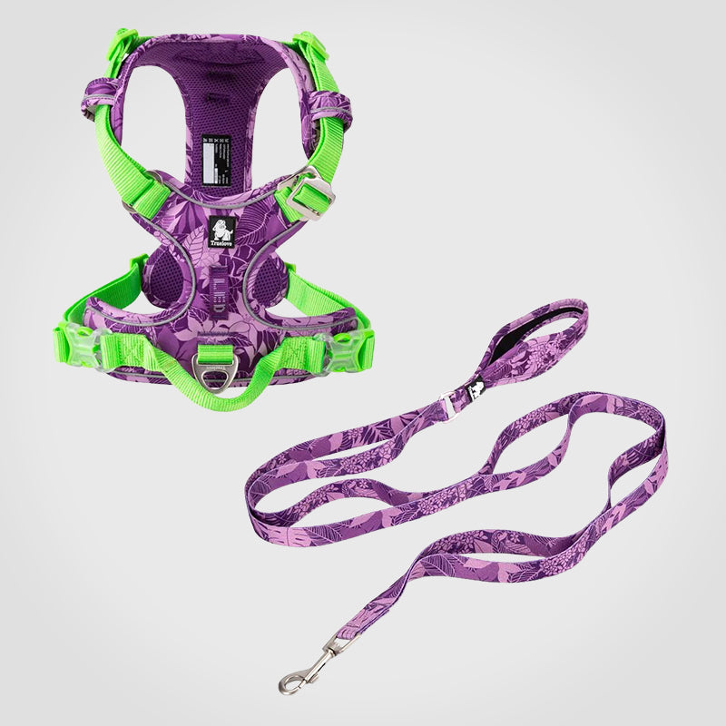 Puppify | Truelove Floral No-Pull Safety Dog Harness + Leash Bundle