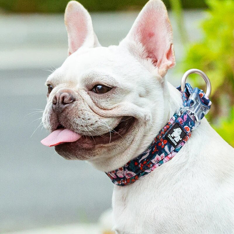 Puppify | Truelove Floral Dog Collar