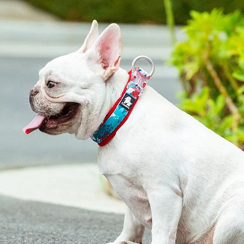 Puppify | Truelove Floral Dog Collar