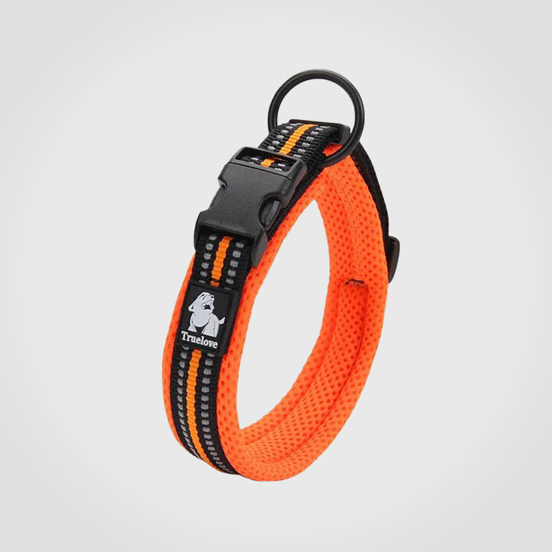 Puppify | Truelove Safety Dog Collar