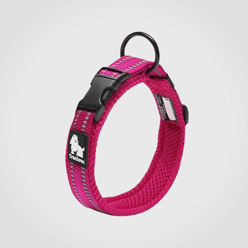 Puppify | Truelove Safety Dog Collar