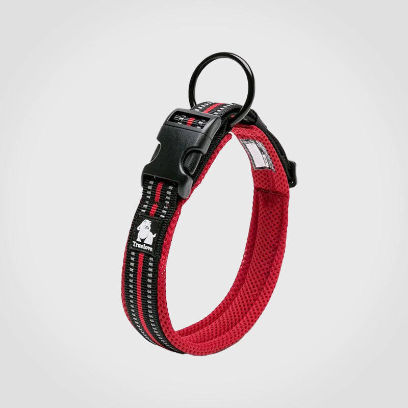 Puppify | Truelove Safety Dog Collar