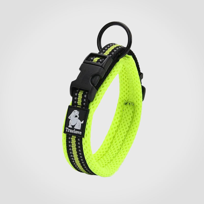 Puppify | Truelove Safety Dog Collar