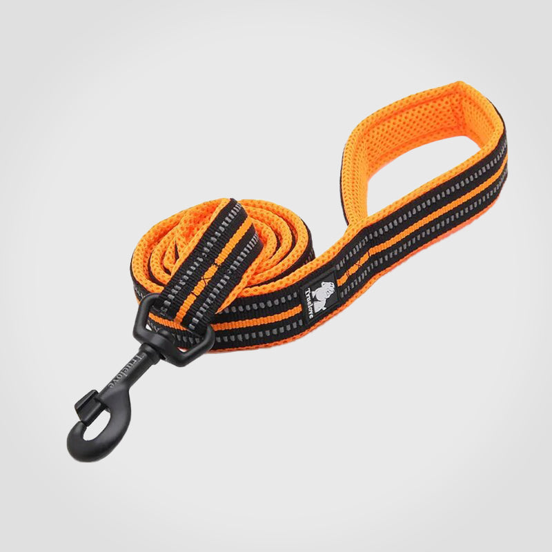 Puppify | Truelove Premium Safety Dog Leash