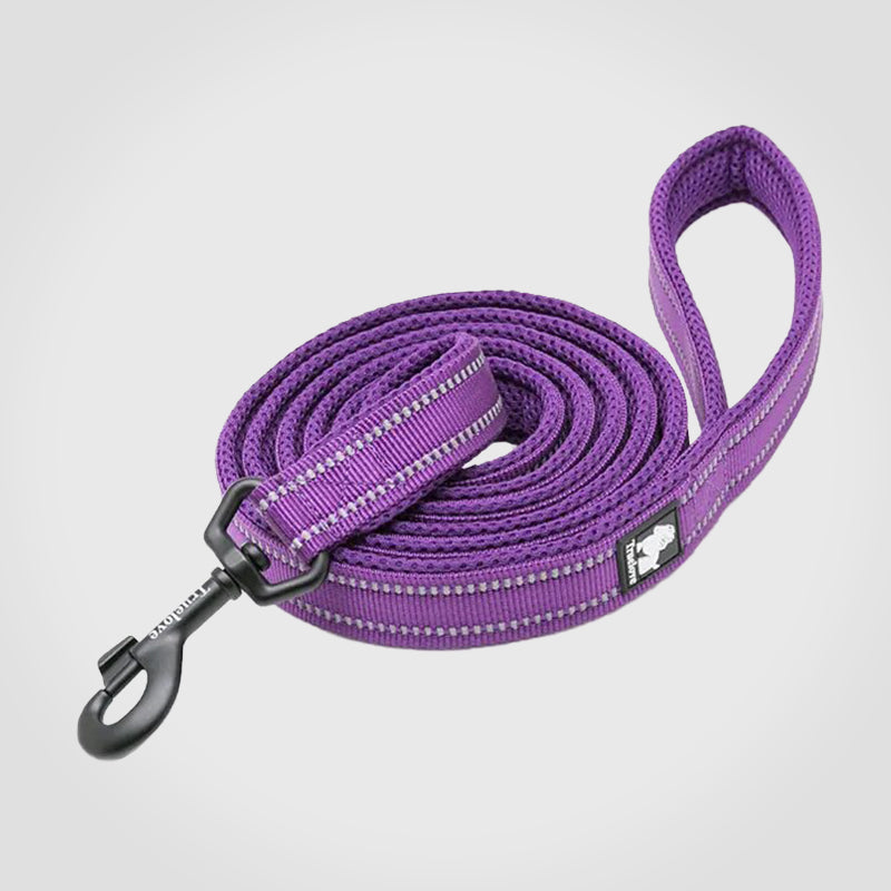 Puppify | Truelove Premium Safety Dog Leash