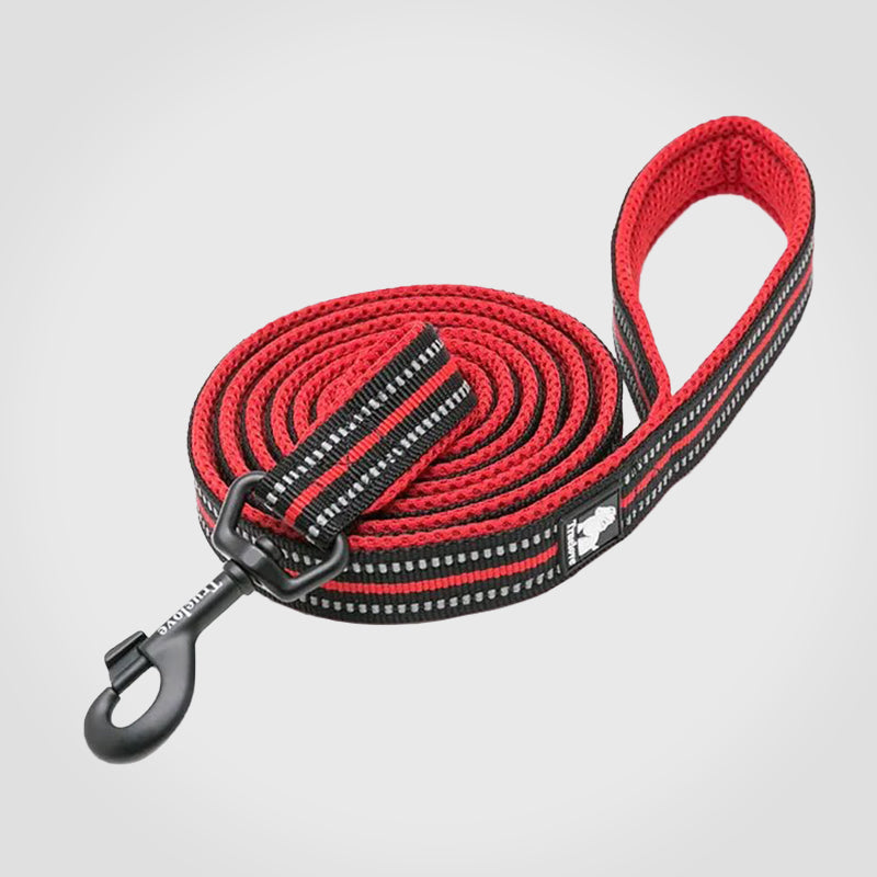 Puppify | Truelove Premium Safety Dog Leash