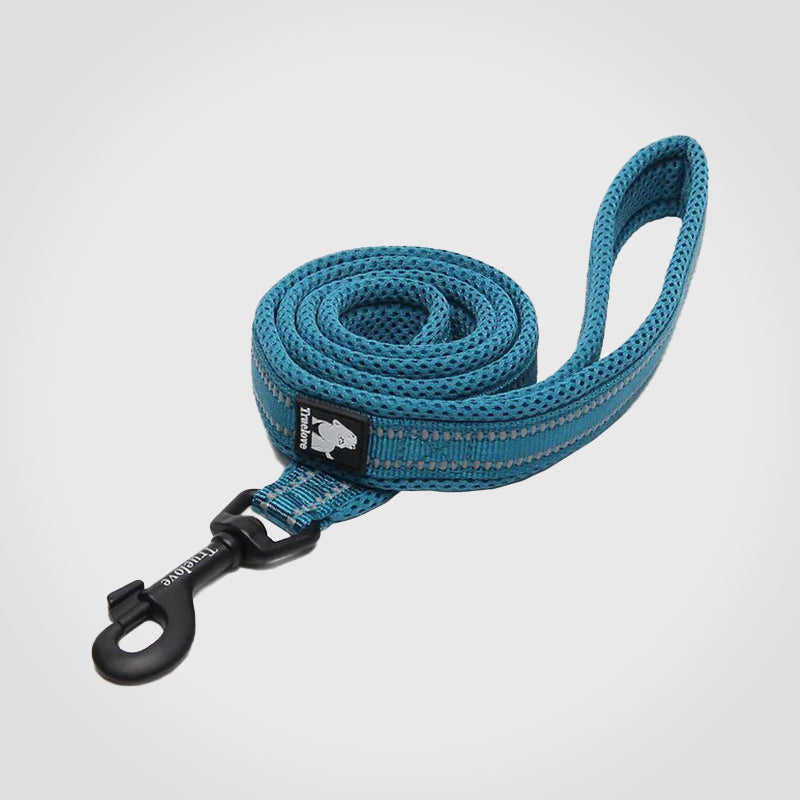 Puppify | Truelove Premium Safety Dog Leash