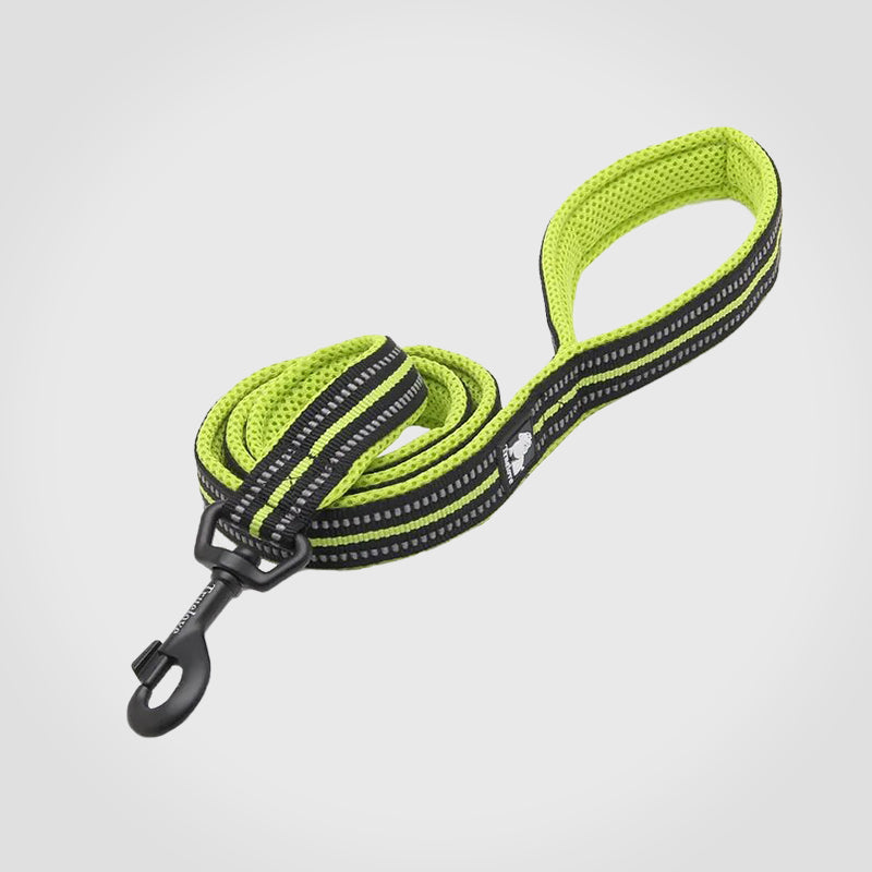 Puppify | Truelove Premium Safety Dog Leash