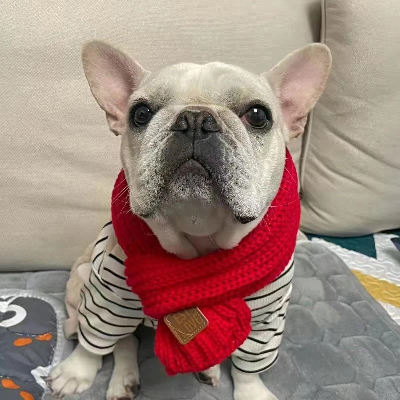 Puppify | One-Fits-All Knitted Winter Dog Scarf