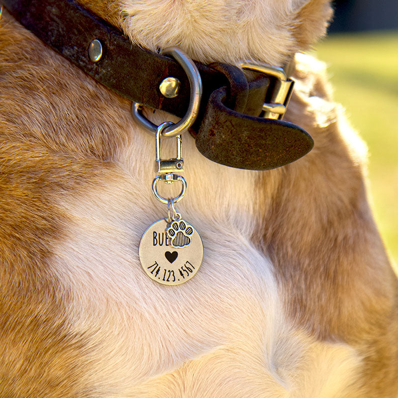 Puppify | Custom Swivel Dog ID Tags