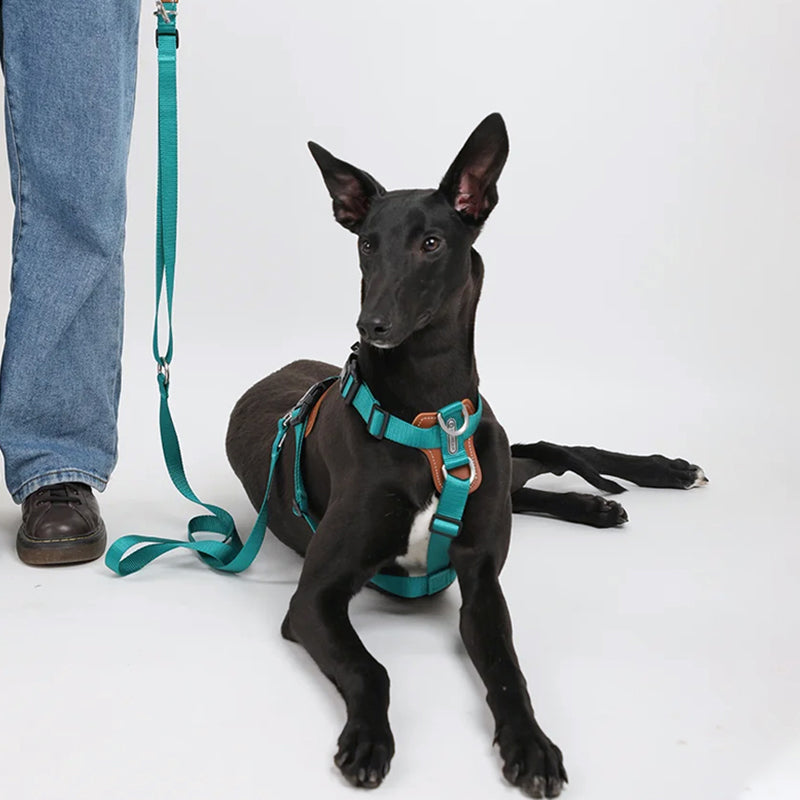 Puppify | HiDream I-Shape Adjustable Dog Harness