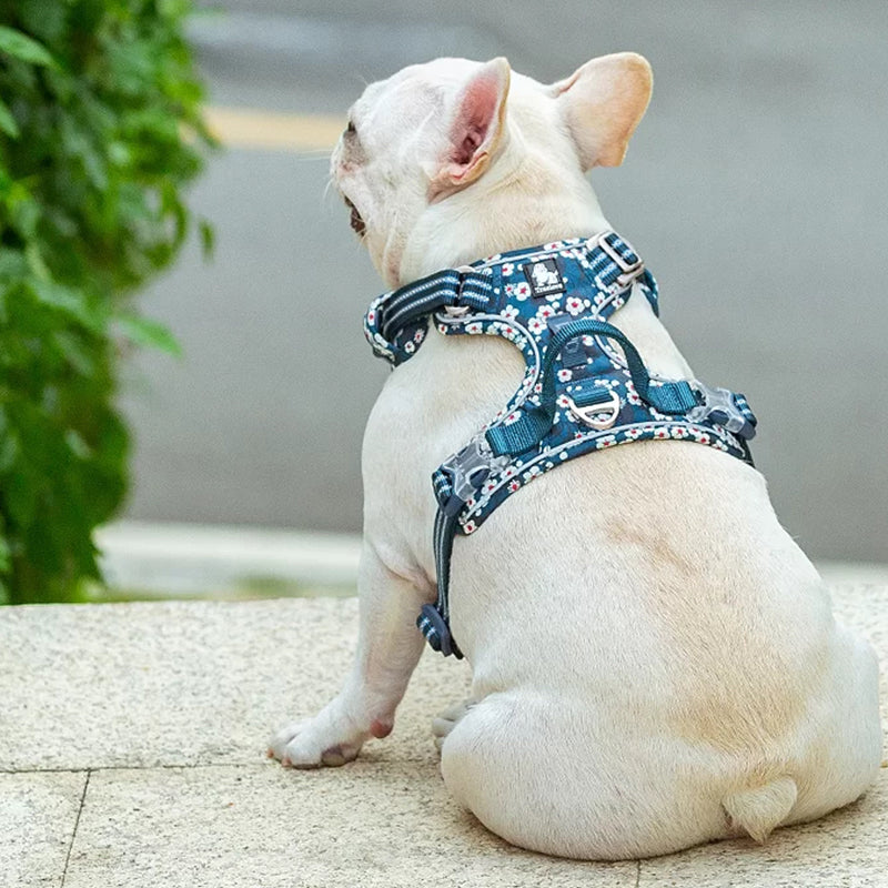 Puppify | Truelove Floral No-Pull Safety Dog Harness