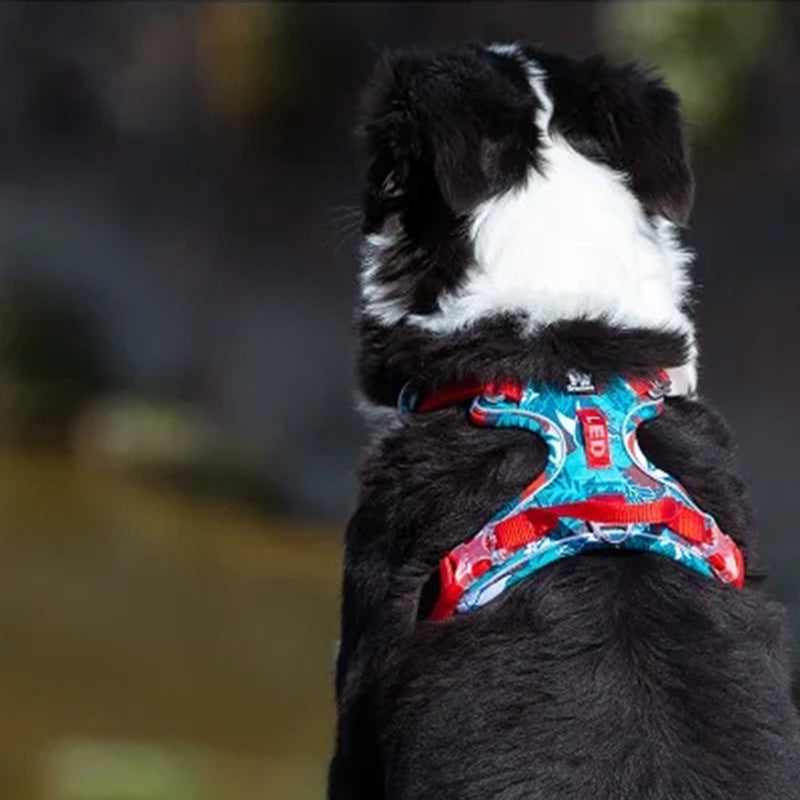 Puppify | Truelove Floral No-Pull Safety Dog Harness