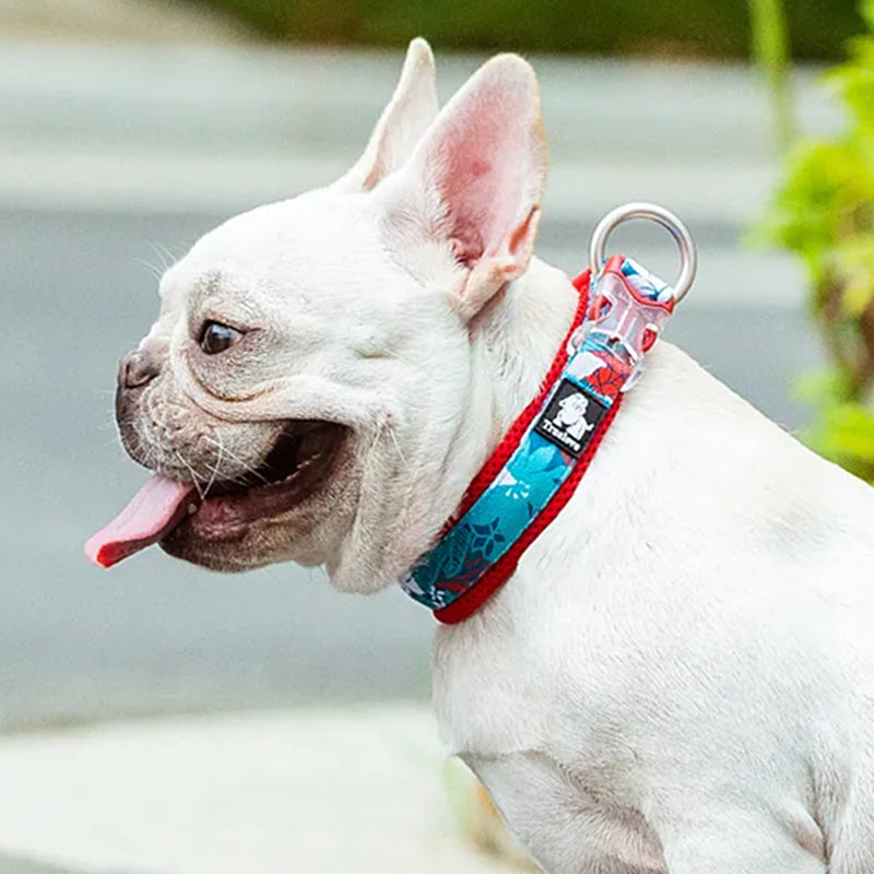 Puppify | Truelove Floral Dog Collar