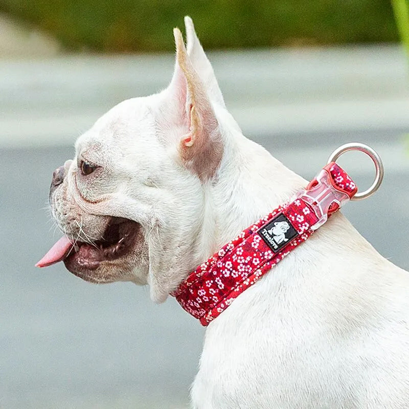 Puppify | Truelove Floral Dog Collar