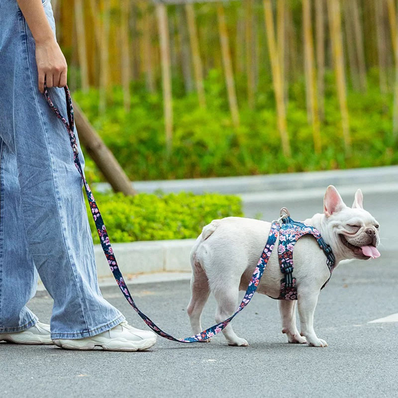 Puppify | Truelove Multi-Handle Floral Dog Leash