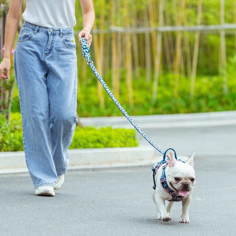 Puppify | Truelove Multi-Handle Floral Dog Leash