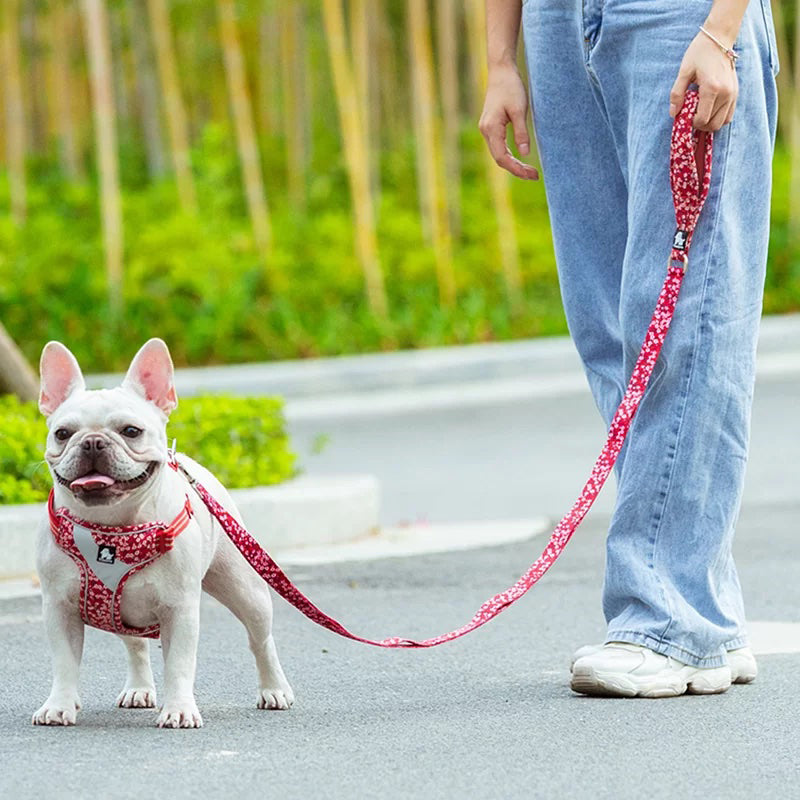 Puppify | Truelove Multi-Handle Floral Dog Leash