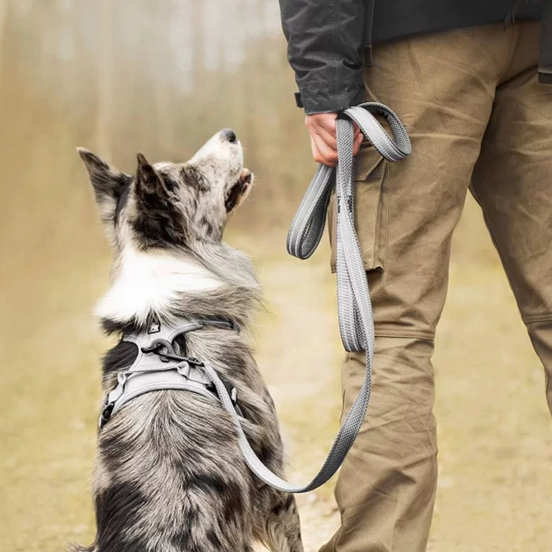 Puppify | Truelove No-Pull Safety Dog Harness