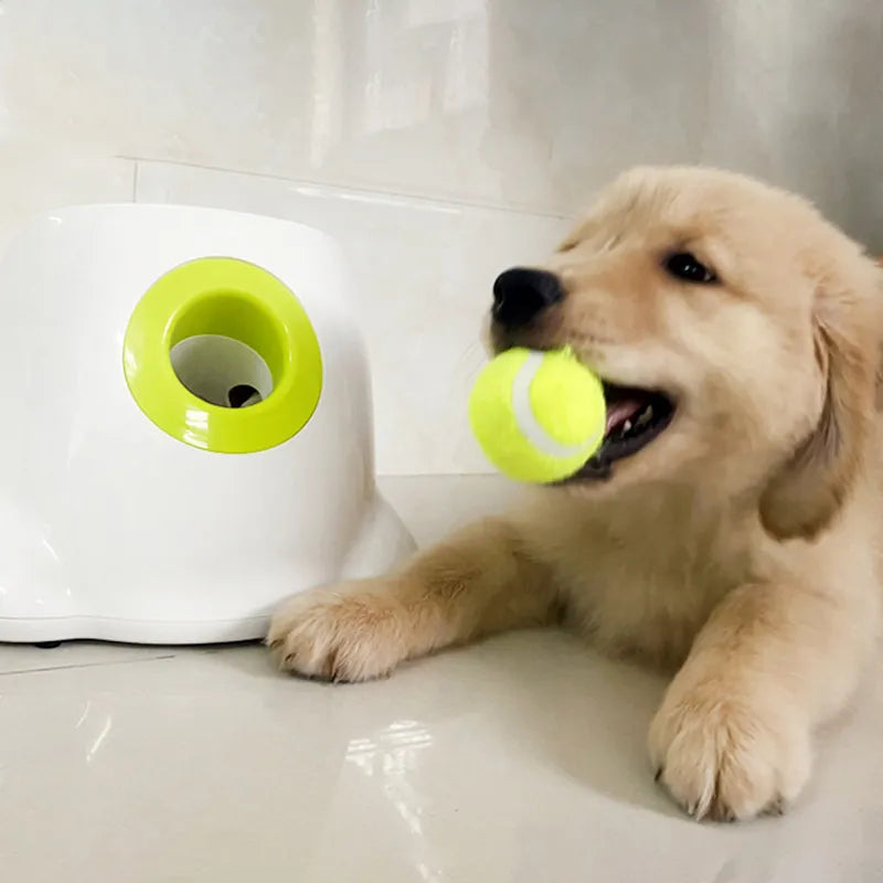 Puppify | Automatic Tennis Ball Launcher