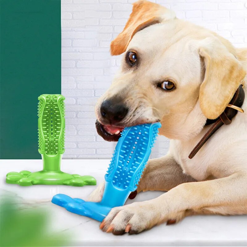 Puppify | PearlyPup Toothbrush Chew Toy