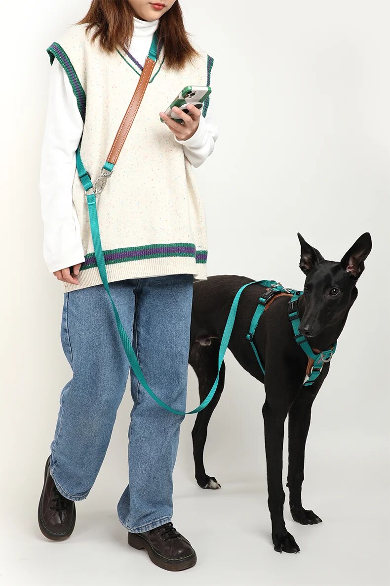 Puppify | HiDream Multifunctional Adjustable Hands-Free Dog Leash