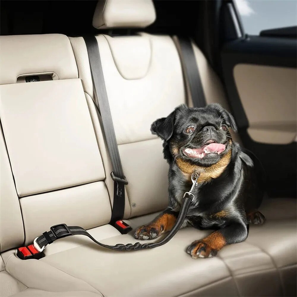 Puppify | Adjustable Bungee Dog Seatbelt