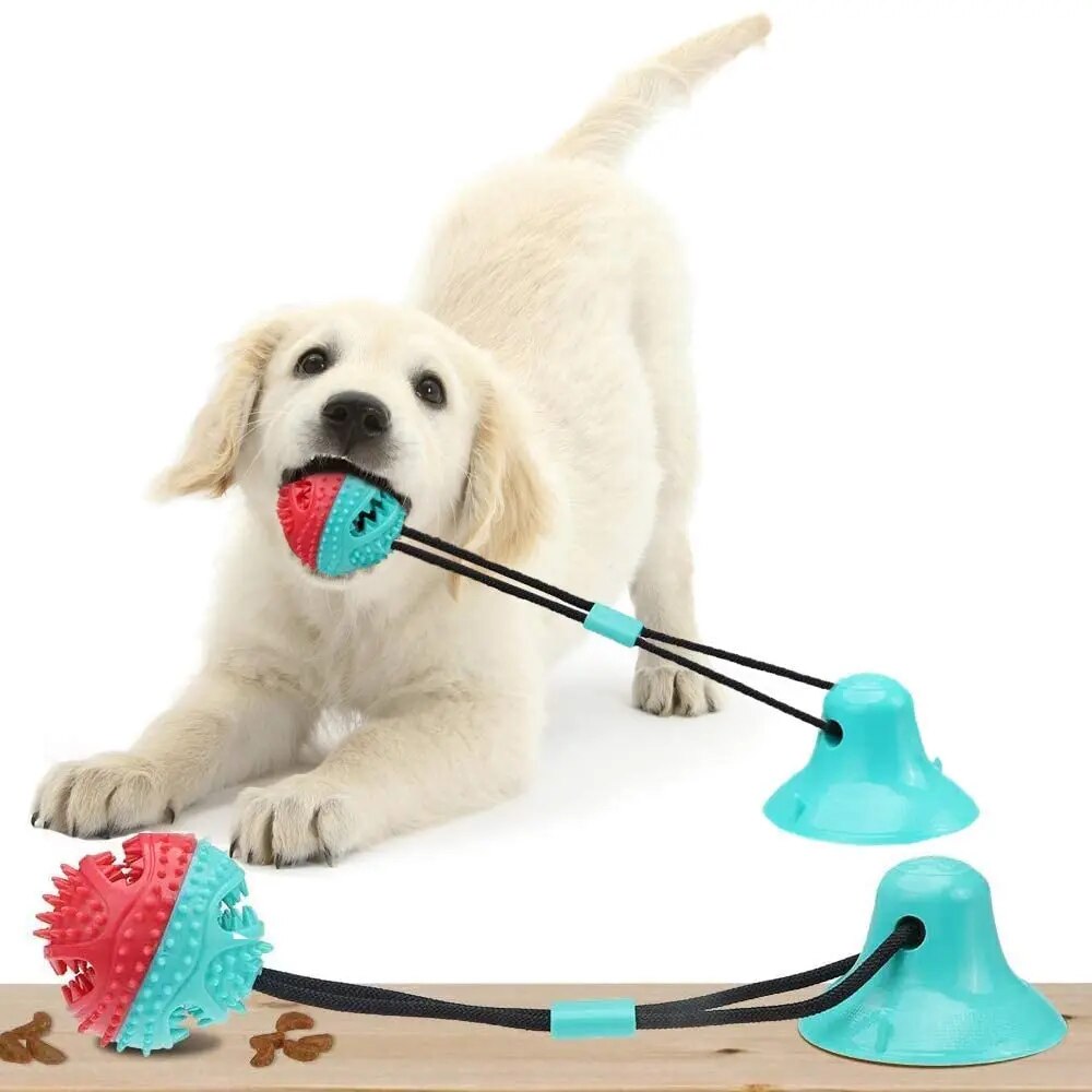 Puppify | Tug-of-War Suction Cup Dog Toy with Treats