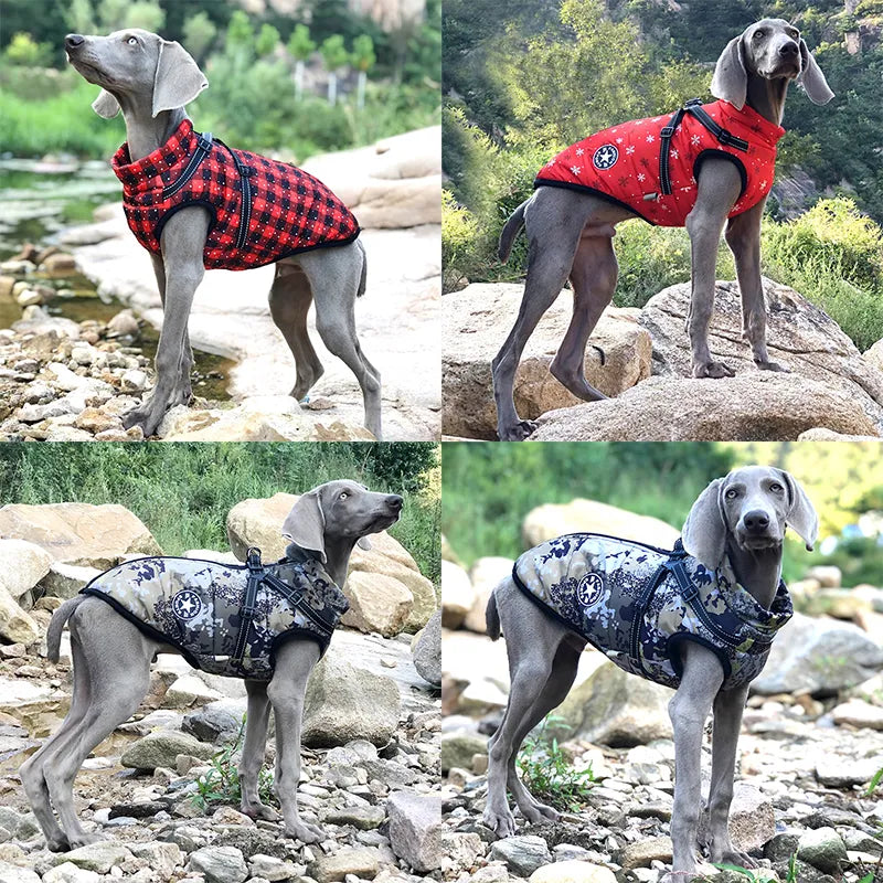 Puppify | Multifunctional Dog Jacket Harness