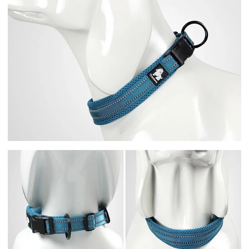 Puppify | Truelove Safety Dog Collar