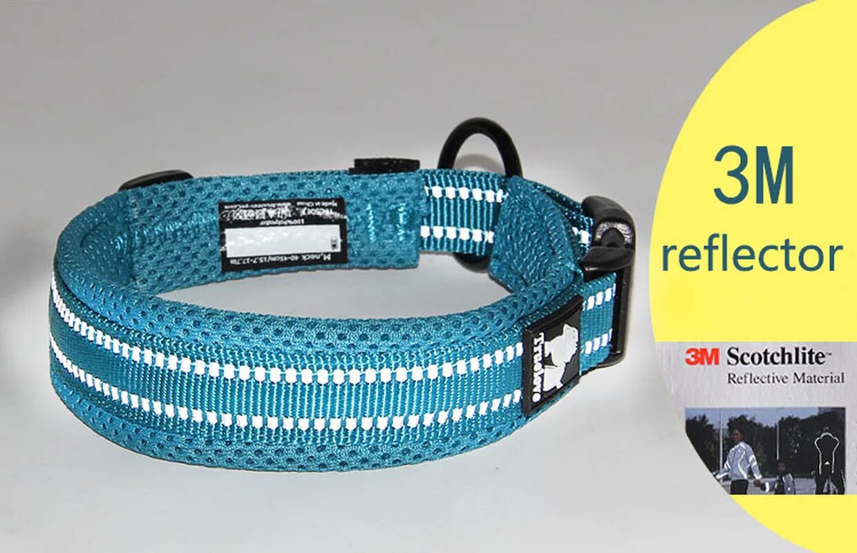 Puppify | Truelove Safety Dog Collar