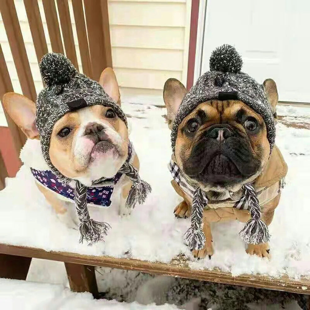 Puppify | Knitted Winter Dog Beanie